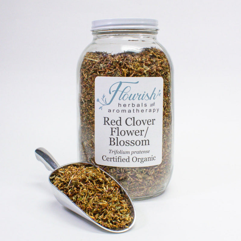 Red Clover Blossom-Organic Bulk