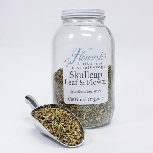 Skullcap Leaf and Flower-Organic Bulk