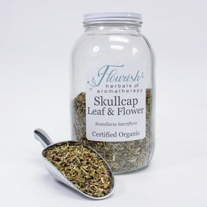 Skullcap Leaf and Flower-Organic Bulk