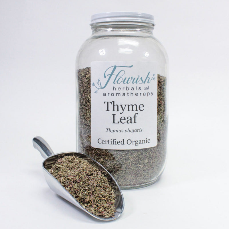 Thyme Leaf-Organic Bulk