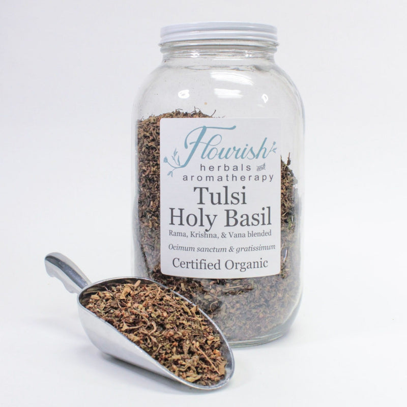 Tulsi, Holy Basil Leaf