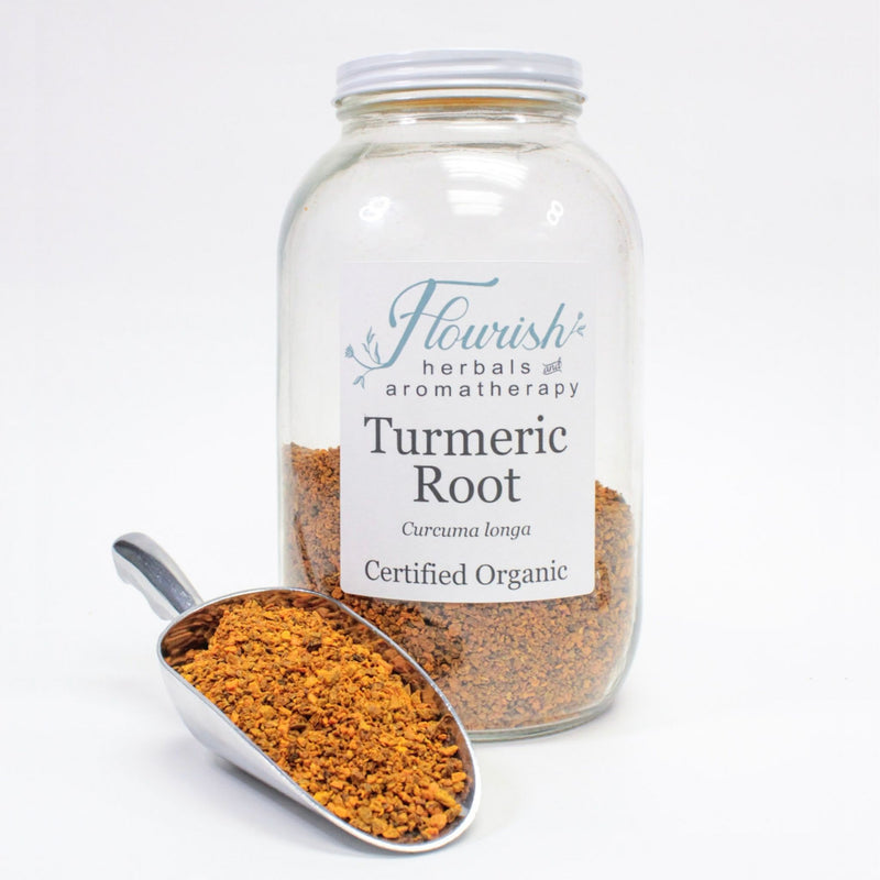 Turmeric Root Bulk 1oz