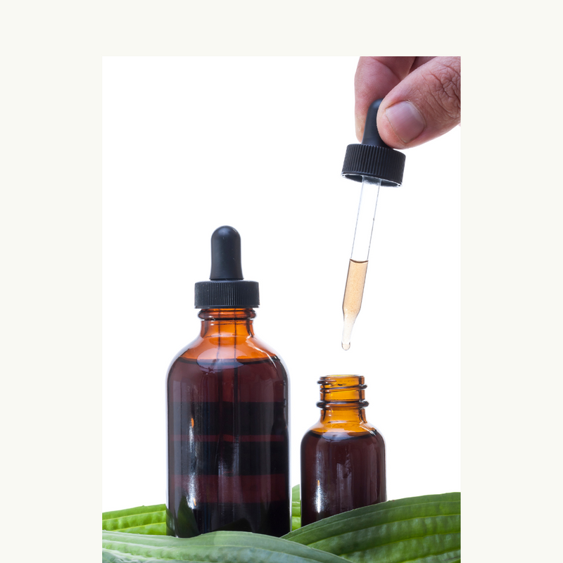 Bacopa Tincture - Herbal Extract