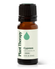 Cypress Essential Oil by Plant Therapy