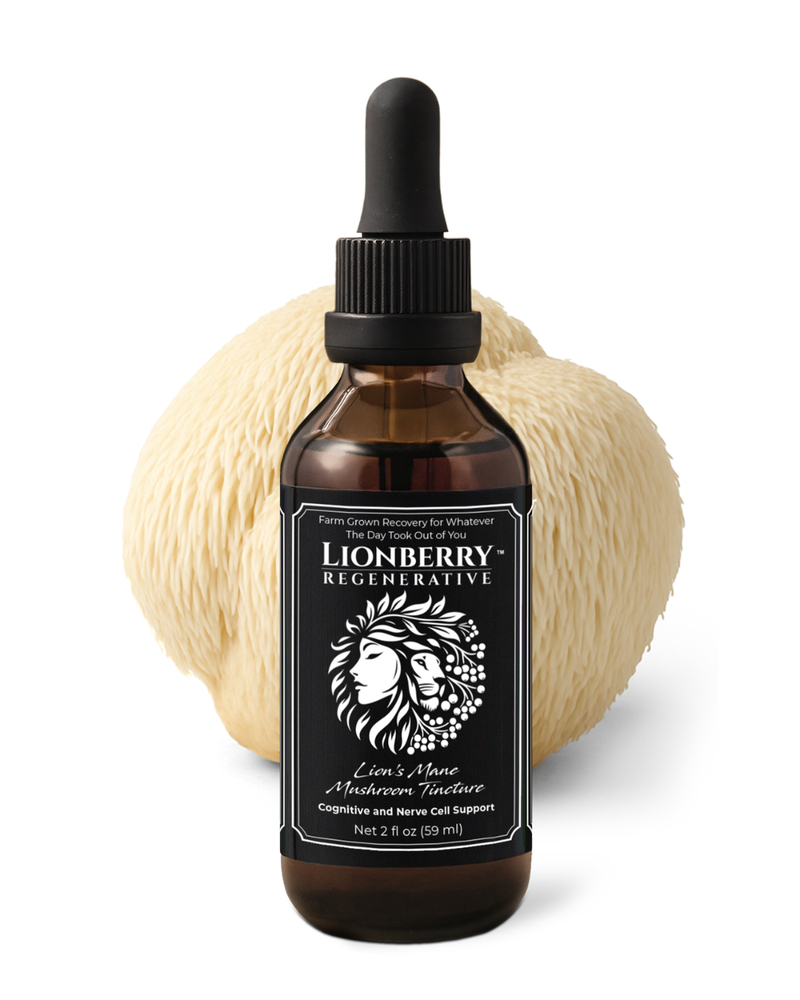 Lion's Mane Mushroom Tincture by Lionberry