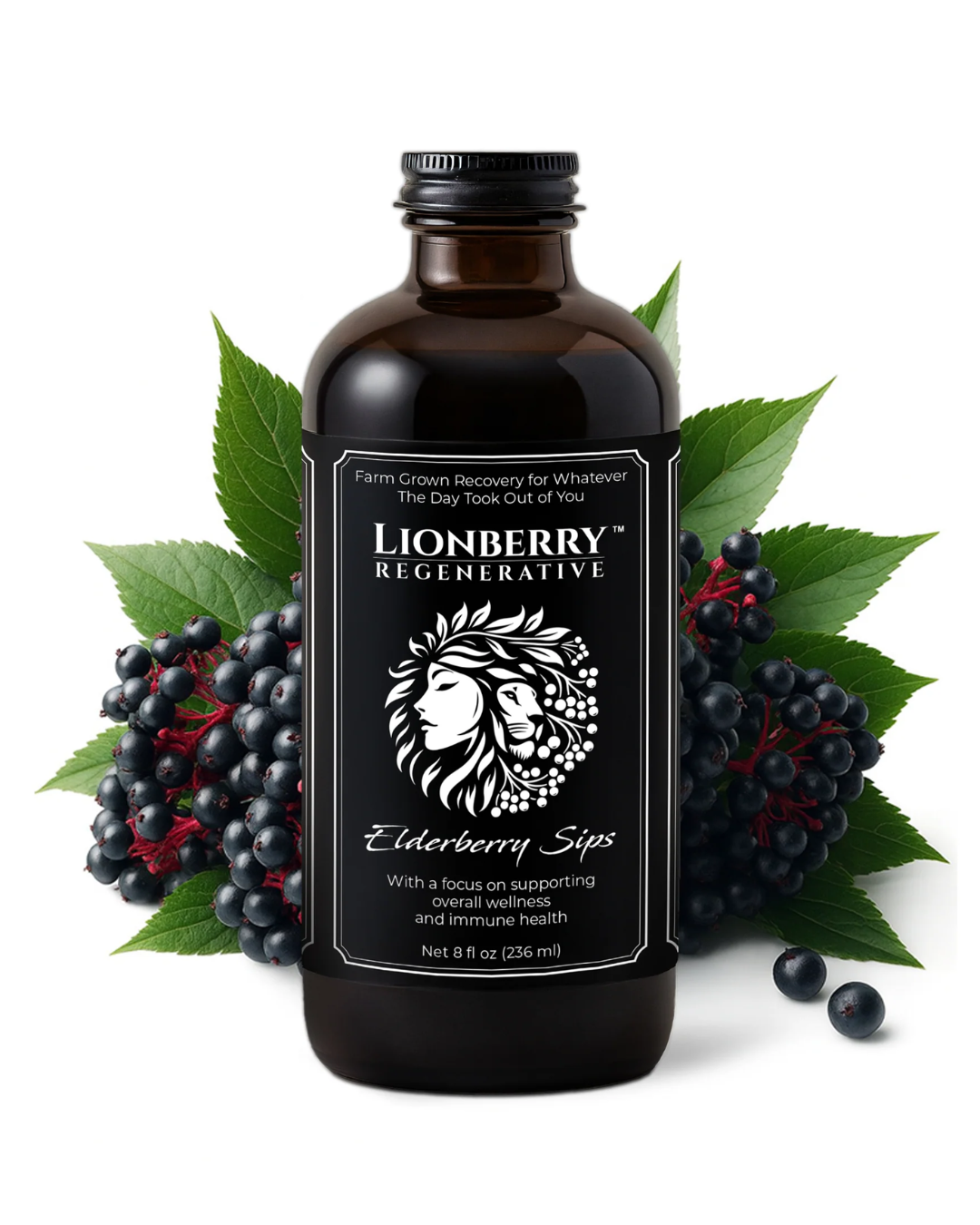 Elderberry Sips by Lionberry