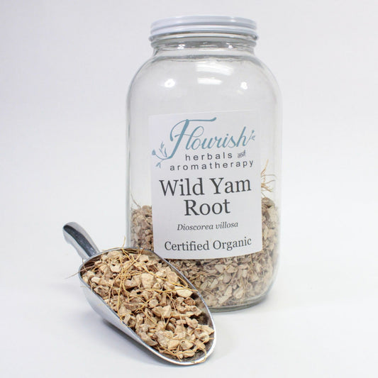 Wild Yam Root
