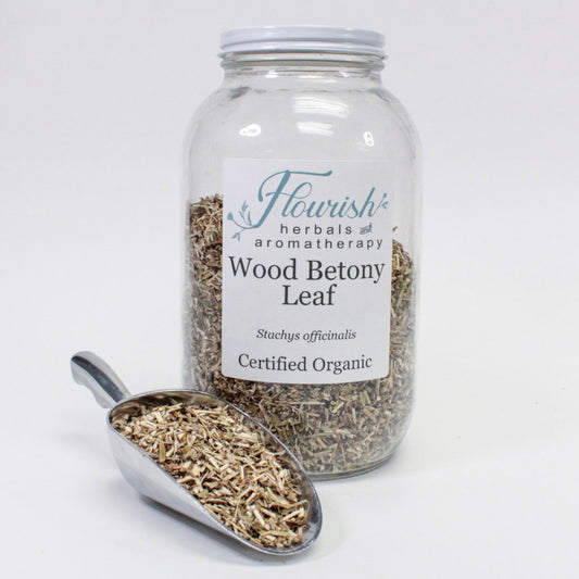 Wood Betony Herb Bulk 1oz