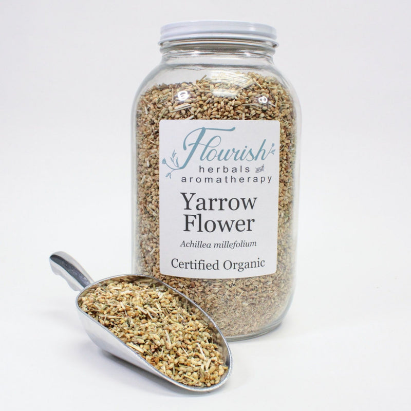 Yarrow Flower-Organic Bulk 1oz