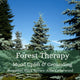 Forest Therapy Essential Oil Blend 10mL