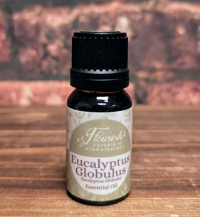 Eucalyptus Globulus Essential Oil - Organic